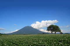 Images